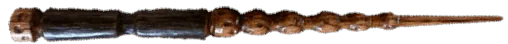 Image posted by the member