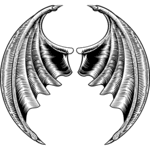 Image posted by the member