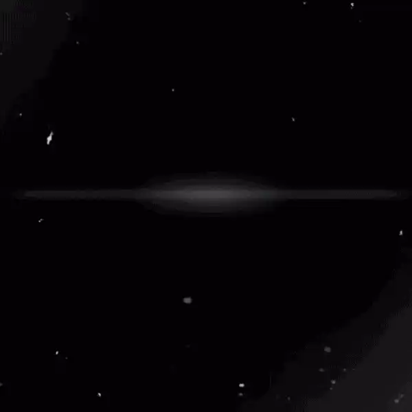 Image posted by the member