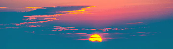 Image posted by the member