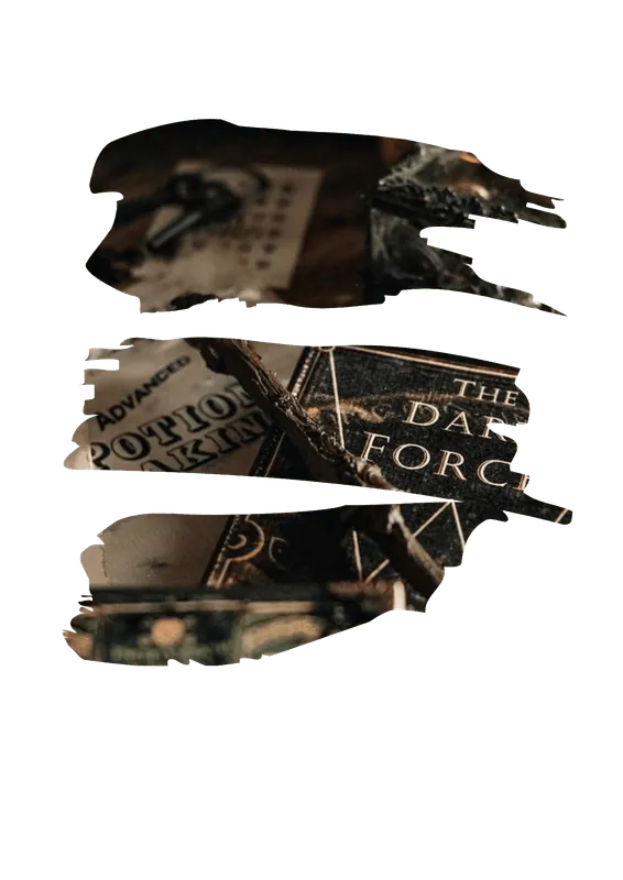 Image posted by the member