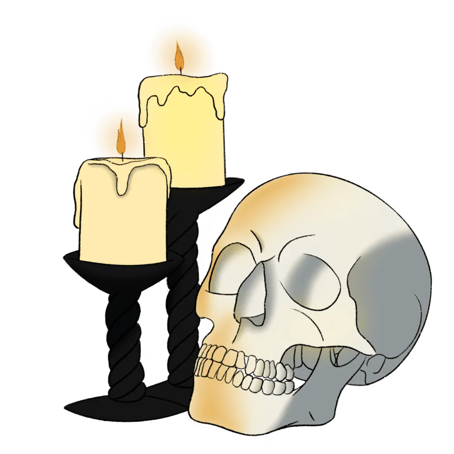 Image posted by the member