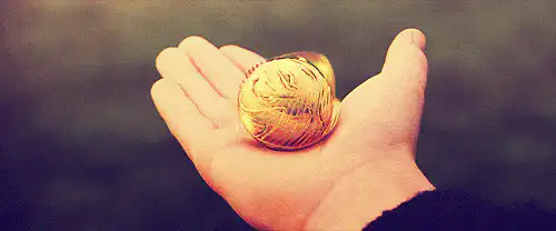 Image posted by the member