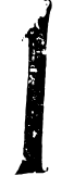 Image posted by the member