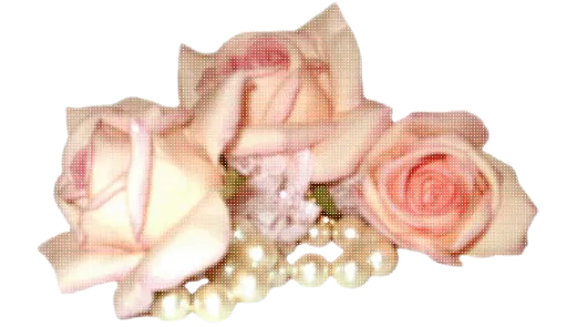 Image posted by the member