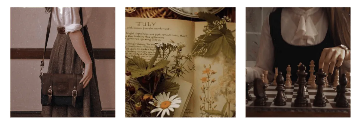 Image posted by the member