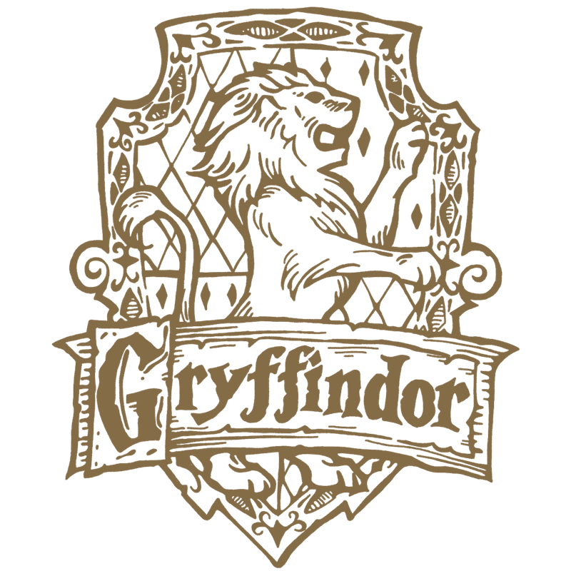 Image posted by the member