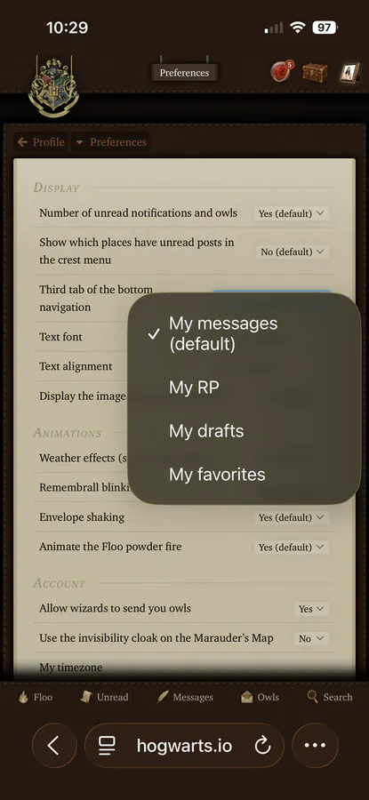 Third button on bottom bar preference