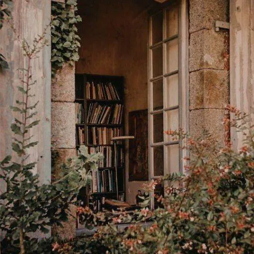 Image posted by the member
