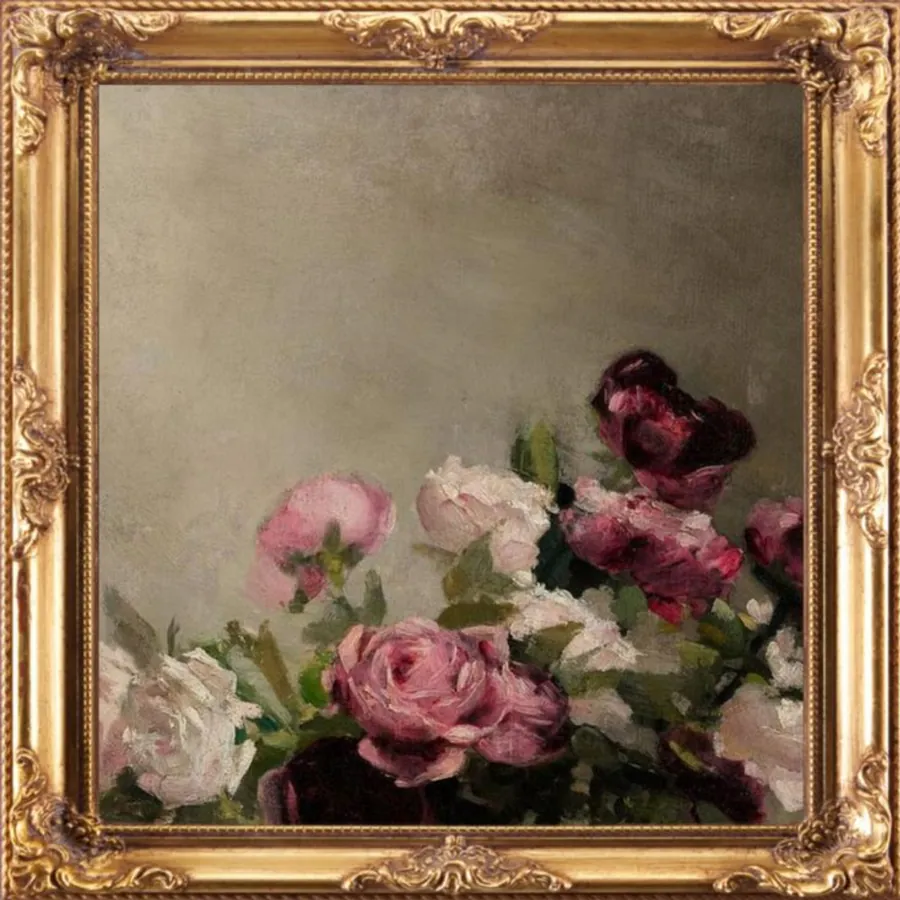 Image posted by the member