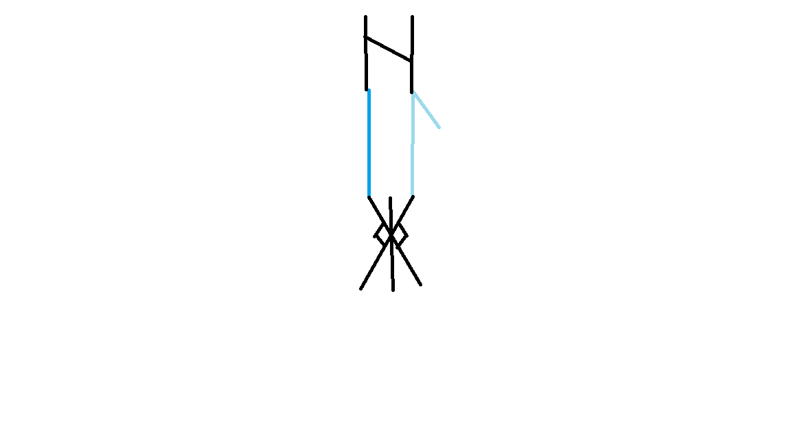 Image posted by the member