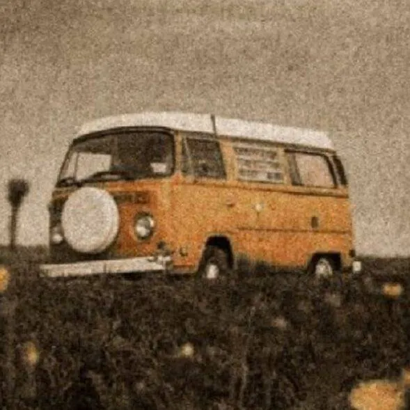 Image posted by the member