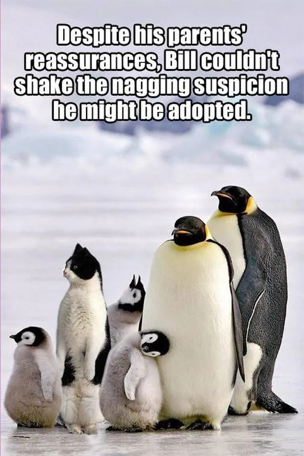 Image posted by the member