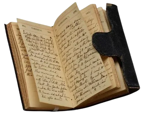 Image posted by the member