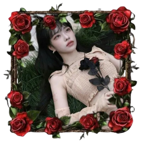 Image posted by the member
