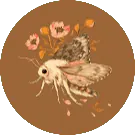 Image posted by the member