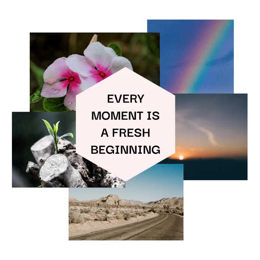 Image posted by the member