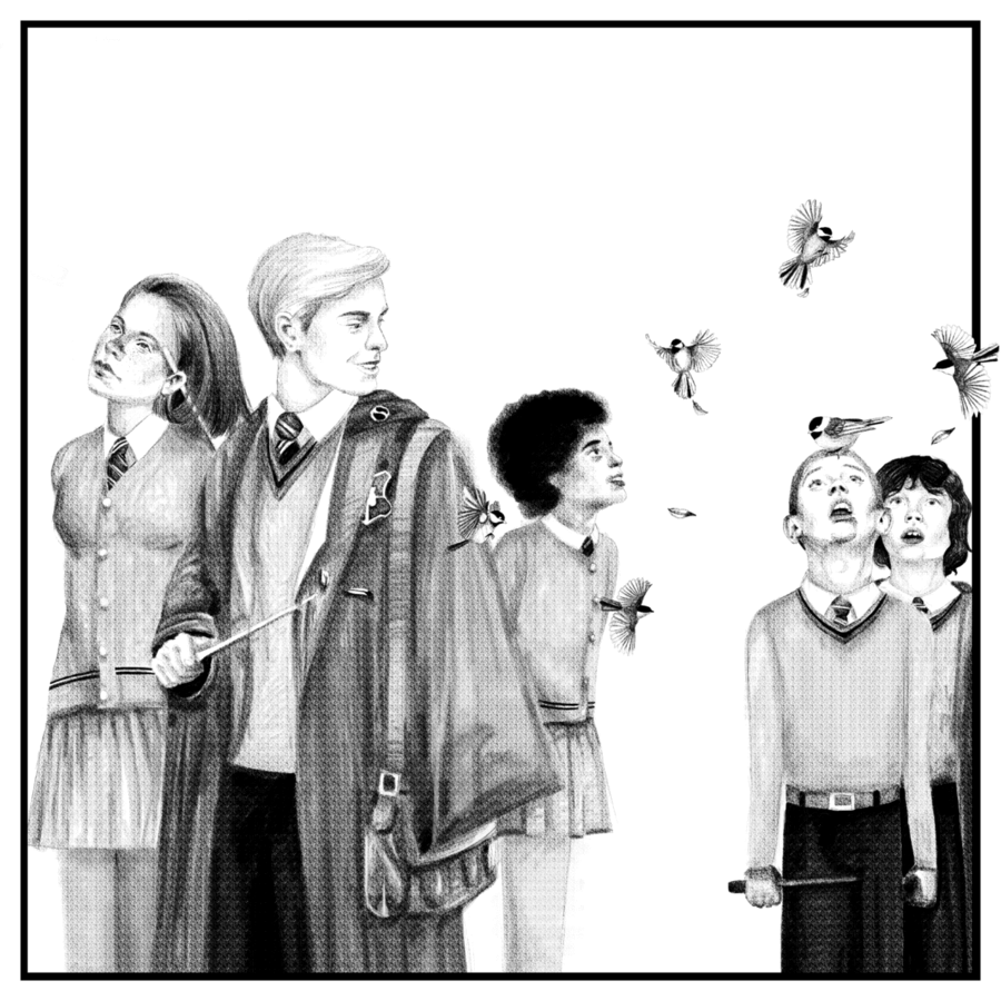 Image posted by the member