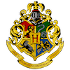 Image posted by the member