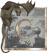 Image posted by the member
