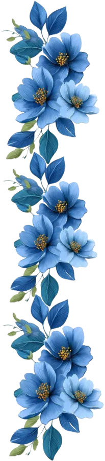 Image posted by the member