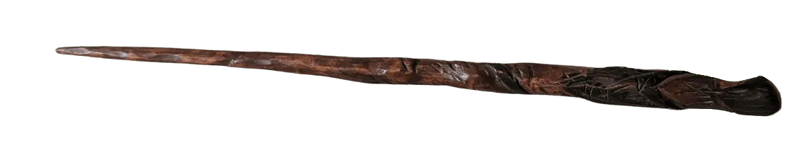 Image posted by the member