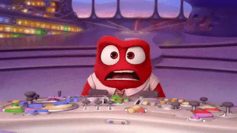 Image posted by the member