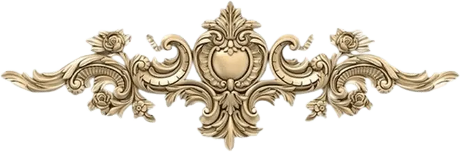 Image posted by the member