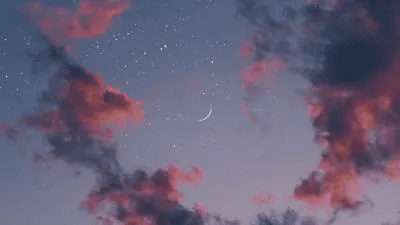 Image posted by the member