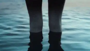 Image posted by the member