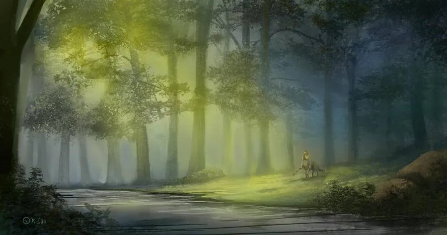Image posted by the member