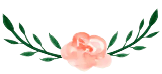 Image posted by the member