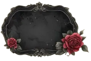 Image posted by the member