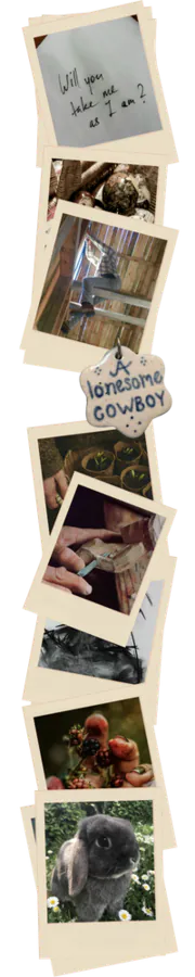 Image posted by the member