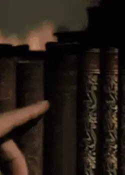 Image posted by the member