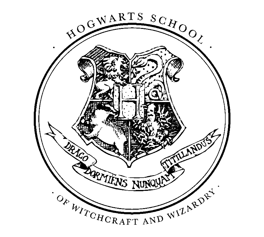 Image posted by the member