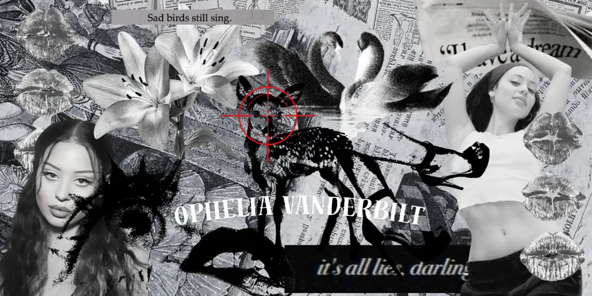 Image posted by the member