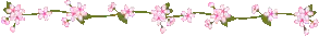 Image posted by the member