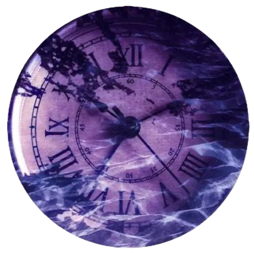 Image posted by the member