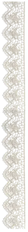 Image posted by the member