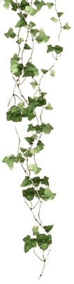 Image posted by the member