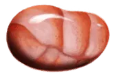 Image posted by the member
