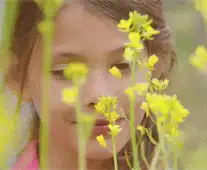 Image posted by the member