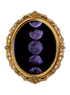 Image posted by the member