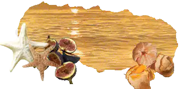 Image posted by the member