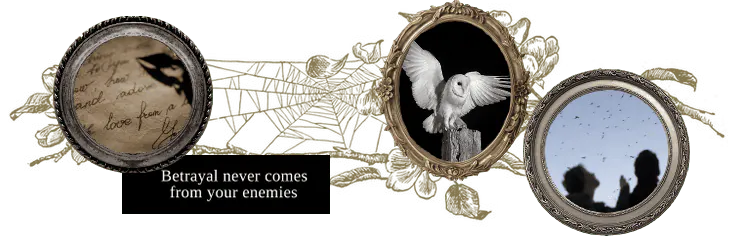 Image posted by the member