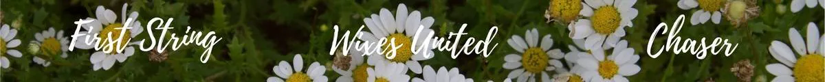 Image posted by the member