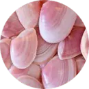 Image posted by the member