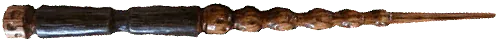 Image posted by the member
