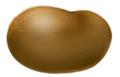 Image posted by the member